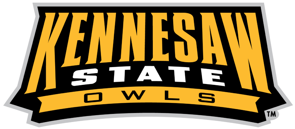 Kennesaw State Owls 2012-Pres Wordmark Logo v2 diy iron on heat transfer